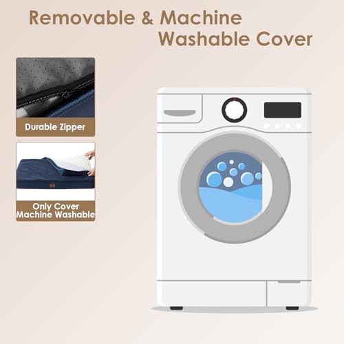 Orthopedic Dog Bed Large with Removable Washable Cover (47*29*3.5 inches / Navy)
