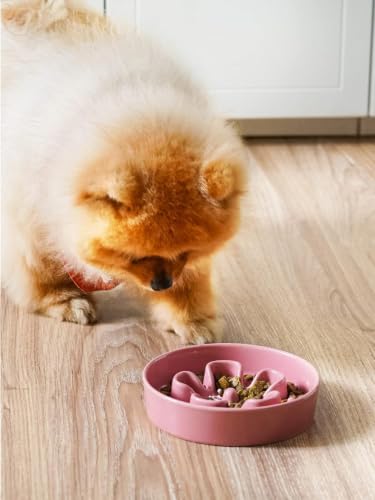 Ceramic Slow Feeder Dog Bowls Small Breed (Pink+Green(2 Pieces) / S-0.6 Cups)