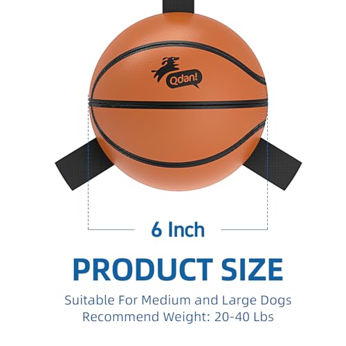 Dog Basketball Toys (Basketball / 6 Inch)