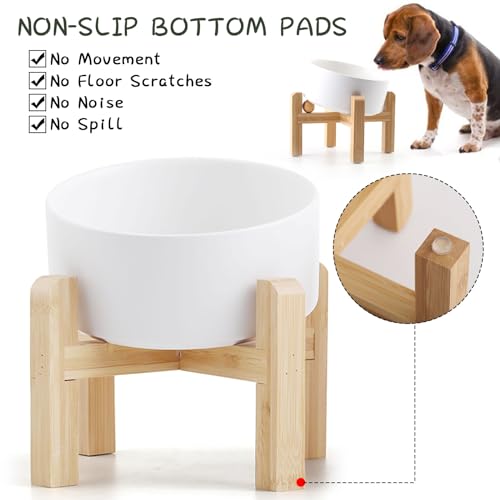 White Raised Elevated 15°Slanted Ceramic Dog Bowl for Small Breeds (White / 1.7 CUPS - Puppy/Small Dogs & Cat Bowls)