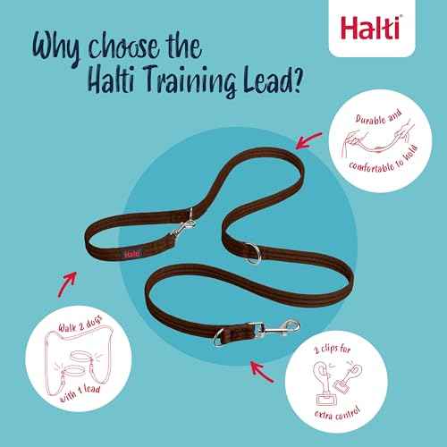 Training Dog Leash (Large / Deep Walnut)