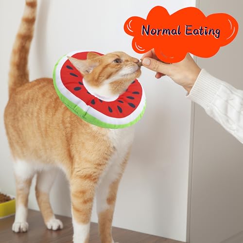 Cat Cone Collar Soft (Watermelon / Large)