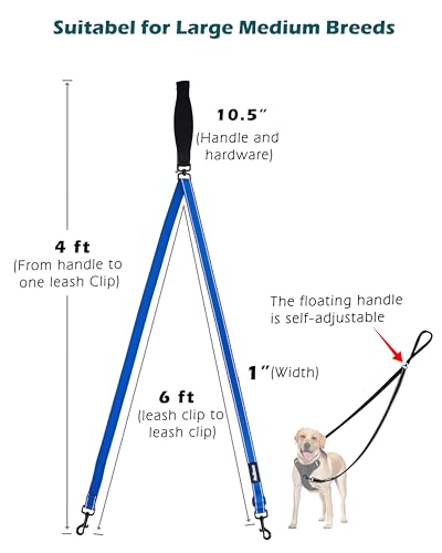 Two Point Control Dog Leash (Blue)
