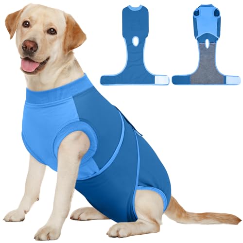 Dog Recovery Suit (Blue / X-Large)