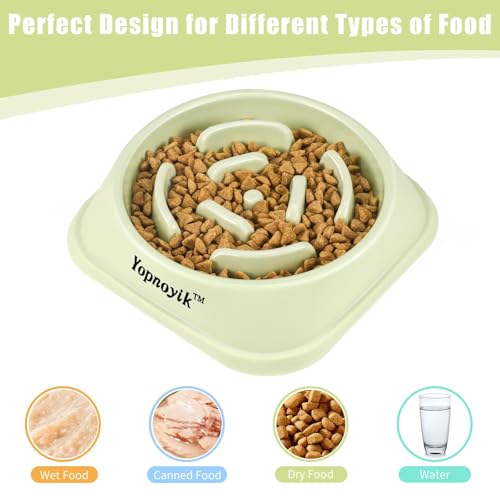 2 Pack Slow Feeder Dog Bowls for Medium Dogs & Cats (Medium / Green and Light Blue)