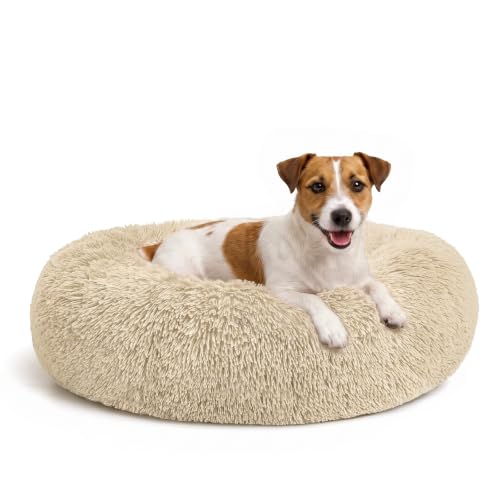 Orthopedic Dog Bed Comfortable Donut Cuddler Round Pet Beds Ultra Soft Washable Dog and Cat Cushion Bed (S-PLUS(27''x 27'') / Ivory Beige)