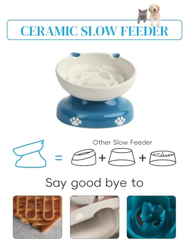 Ceramic Slow Feeder Cat Bowl (Blue)