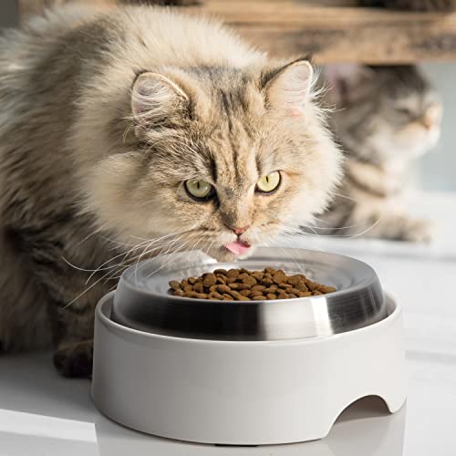 Cat Bowls Whisker Friendly Food Bowl for Indoor Cats (Dish - Set of Two / Stainless Steel)