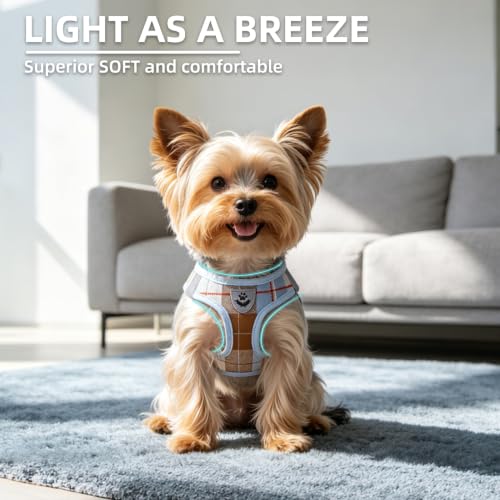 Dog Harness Collar and Leash Set No Pull for Small Medium Sized (Light Blue / S (CHEST 14.5"-16"))