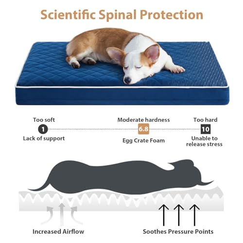 Orthopedic XXL Dog Beds for Large Senior Dog Bed Comfy Sleeping (Blue / 55"L x 42"W x 4"Th)