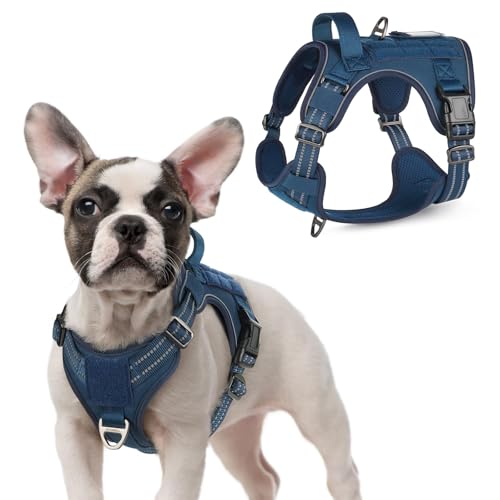 Tactical Dog Harness for Small (Blue / Small)