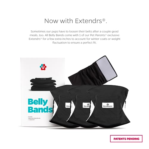 Washable Belly Bands for Male Dogs (Medium (16-20") / Black)