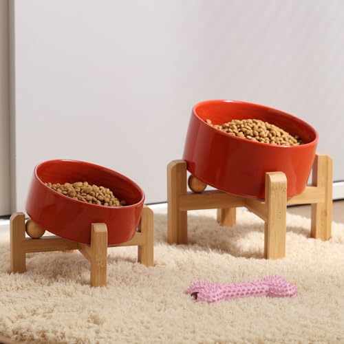 Raised Elevated 15°Slanted Ceramic Dog Bowl for Small Breeds (Rust Red / 1.7 CUPS - Puppy/Small Dogs & Cat Bowls)