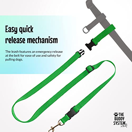 Hands Free Dog Leash (Small Dog System (Large Belt (27"- 50" Waist)) / Green)