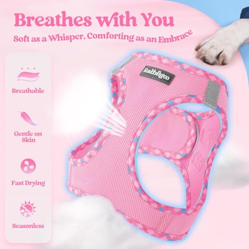 Dog Harness Small Sized and Leash Set (Pink & Plaid Trim / Xs (chest: 13.3 - 15.5"))