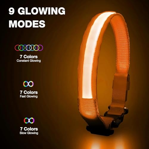 Light up Dog Collar (Orange / L(19 inch-23.6 inch))