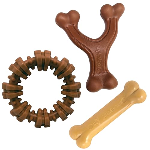 Power Chew Customer Favorites Dog Chew Toys (Small / Bundle)
