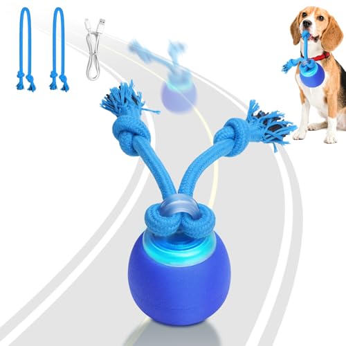 Interactive Dog Toys (Dark blue)