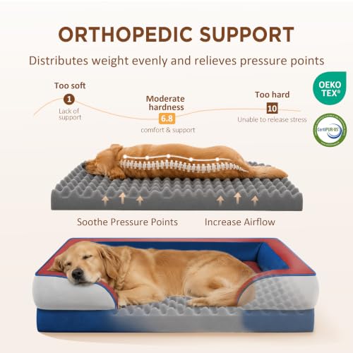 Orthopedic Dog Bed for Extra Large Dogs with Bolster (42.0"L x 30.0"W x 8.5"Th / Primary Tri-Color)