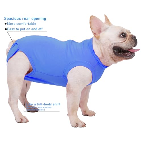 Dog Surgery Recovery Suit (L(Back15- 17" Chest 21- 23" Weight 25- 36 lb) / Light Blue)
