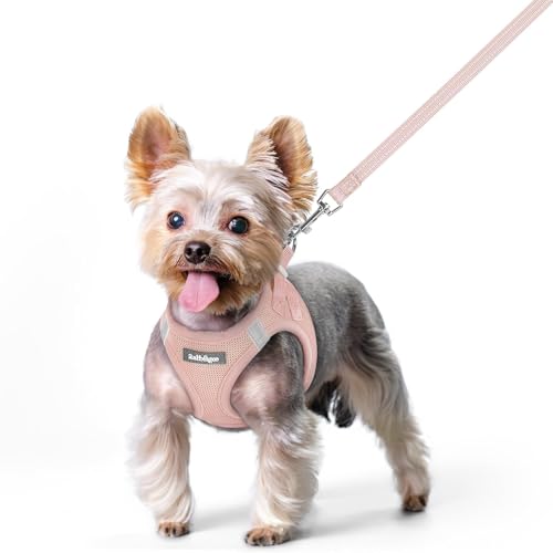Dog Harness Small Sized and Leash Set (Pink / Xs (chest: 13.3 - 15.5"))