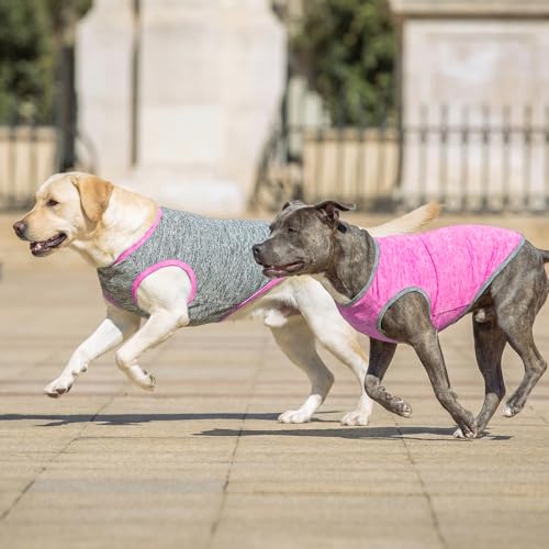 2Pack Dog Shirt for Large Dogs Sun Protection Tank Top for Summer (XXX-Large (55-75lbs) / 6# 2Pack (Grey+Hotpink))