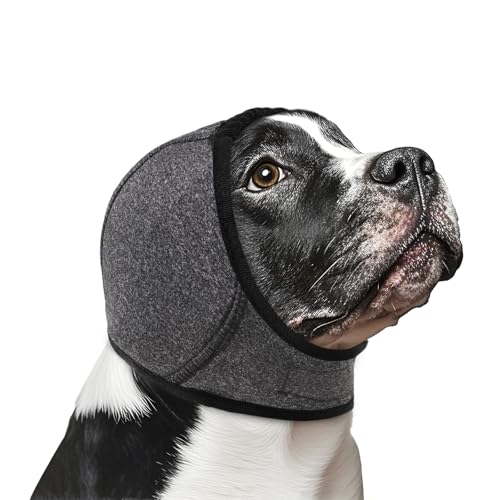 Dog Calming Hoodie (Dark Grey / L)