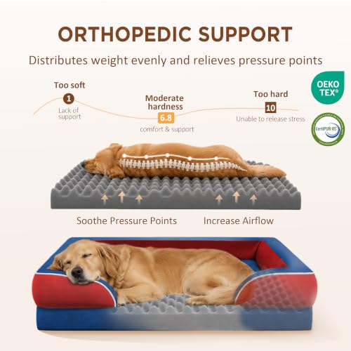 Orthopedic Dog Bed for Extra Large Dogs with Bolster (42.0"L x 30.0"W x 8.5"Th / Classic Tri-Color)