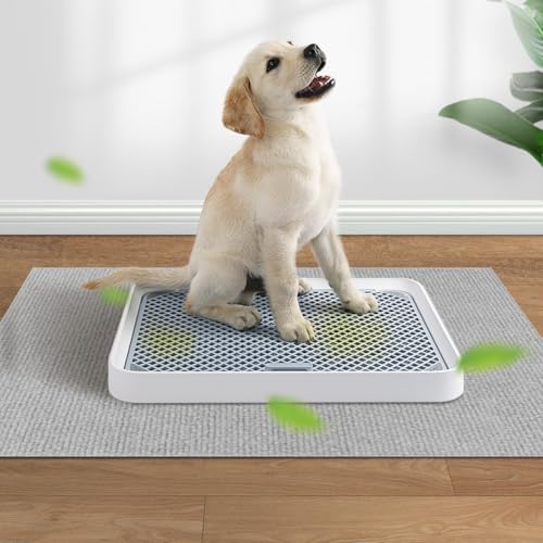 Cat Litter Mat for Litter Box (Gray / 35"L x 24"W)