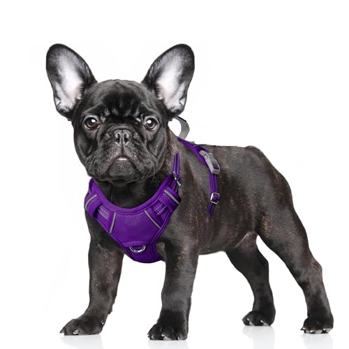 Dog Harness for Small Sized Dog No Pull Dog Vest ID Tag Pocket (Purple / Small)