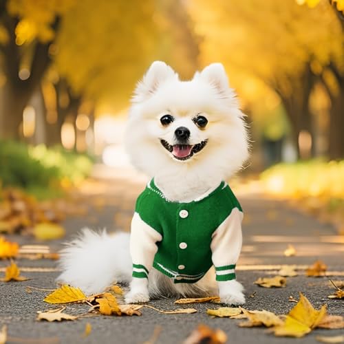 Dog Varsity Sweaters for Dog (Green / Medium(5-9lbs))