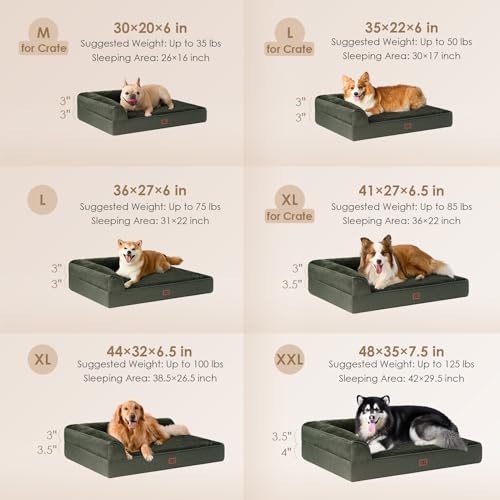 Orthopedic Dog Bed Medium Size (Dark Green / 30.0"L x 20.0"W x 6"Th)