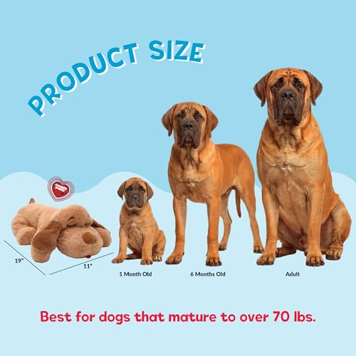 Snuggle Puppy Heartbeat Toy (Large Breed Biscuit / 1 Count (Pack of 1))