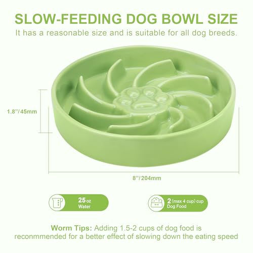 Ceramic Slow Feeder Dog Bowl (Green)