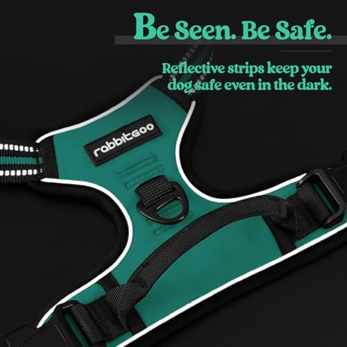 Dog Harness No Pull for Small Dogs with 2 Leash Clips (Small / Turquoise)