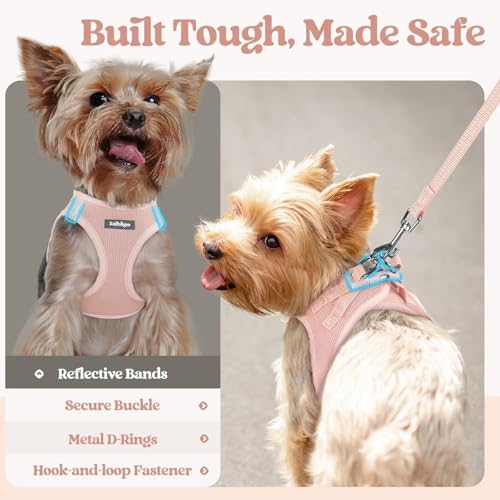 Dog Harness Medium Sized and Leash Set (Pink / Xxl (chest: 21.6 - 23.7"))