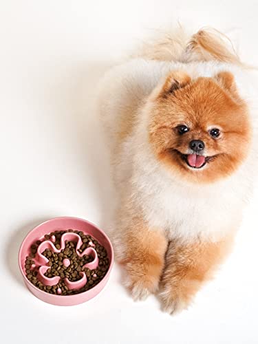 Ceramic Slow Feeder Dog Bowls Small Breed (Pink Bloom / S-0.6 Cups)