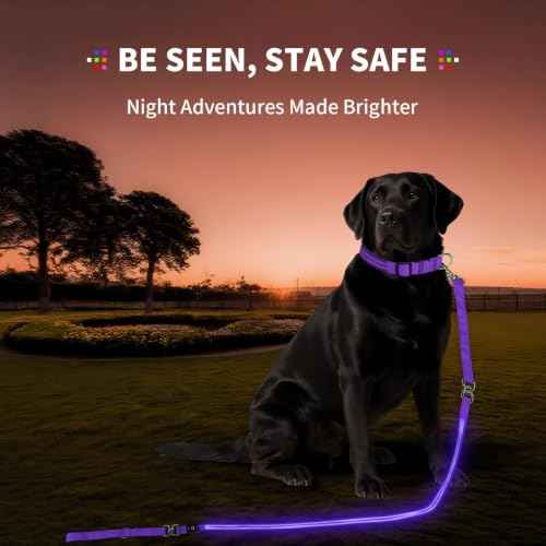 LED Dog Leash (Purple / 6 feet)
