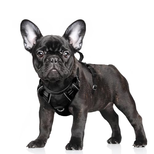 No Pull Dog Harness Large Reflective Dog Harness with Front Clip and Easy Control Handle for Walking Training Running with ID tag Pocket (Black / Small)
