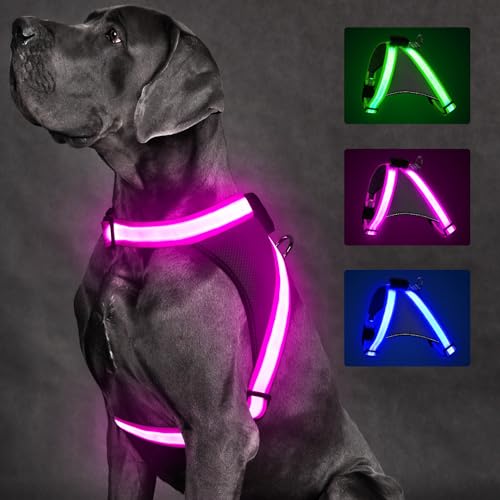 Light Up Dog Harness (Extra Large / Pink)