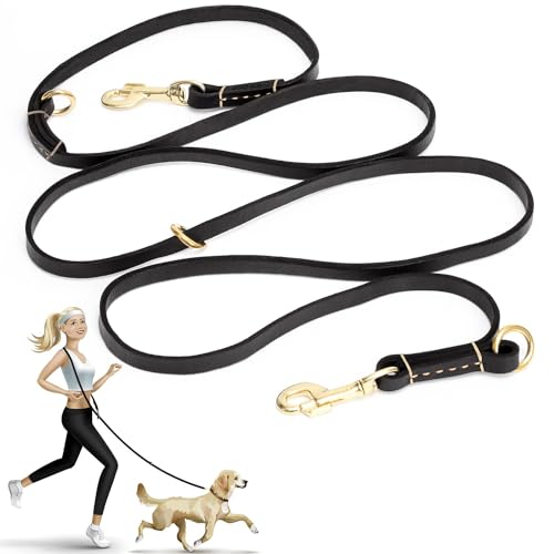 8ft Leather Dog Leash (Black / 8ft*1/2inch)