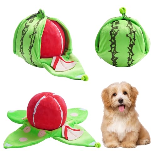 Hide and Seek Plush Dog Toys (watermelon)