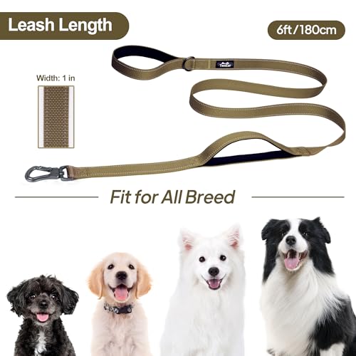 6FT 1IN Heavy Duty Dog Leash for Large Dogs with 2 Padded Handles (Brown / 1 in x 6 ft)