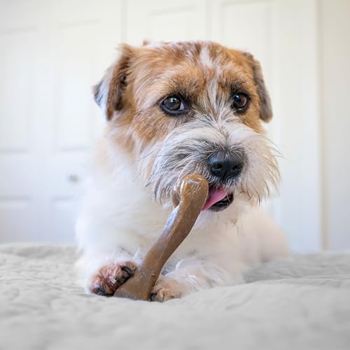 Strong Chew Femur Bone Dog Toy (Femur Bone / Small)
