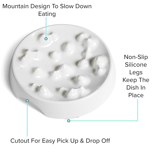 Whisker Friendly Slow Feeder Cat Bowl for Healthy Digestion (Slow Feeder / Marshmallow)
