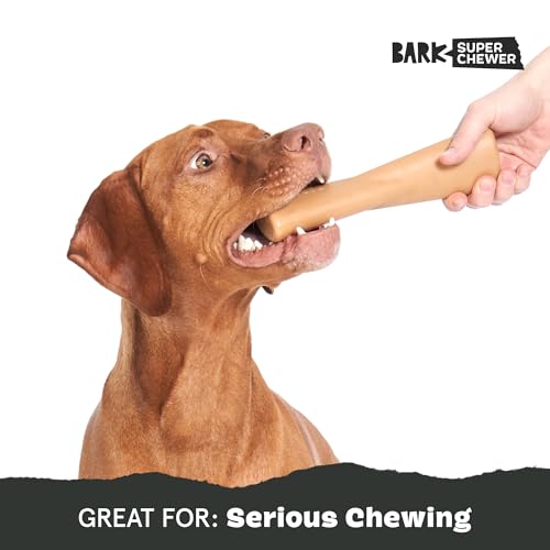 Peanut Butter Bone Super Chewer (Large / Mighty Bone PB)