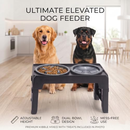 Collapsible Dog Bowls Raised Elevated Adjust Stand (Black)