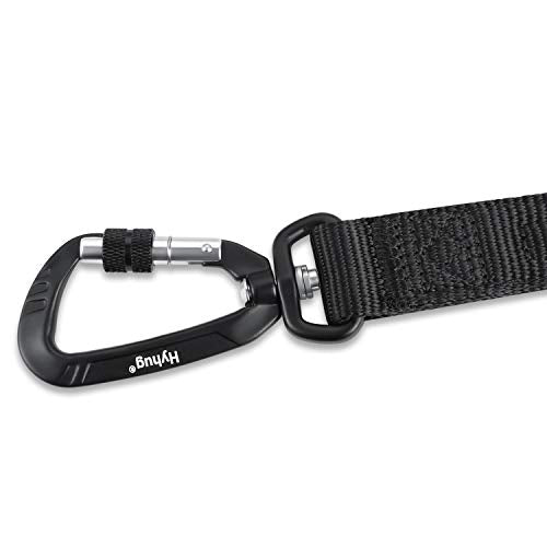 Short Dog Leash 24" (Black / 24 Inches)