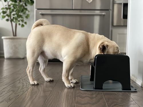 Elevated Dog Bowl for Food Minimize Neck Strain (Small to Medium / Black)