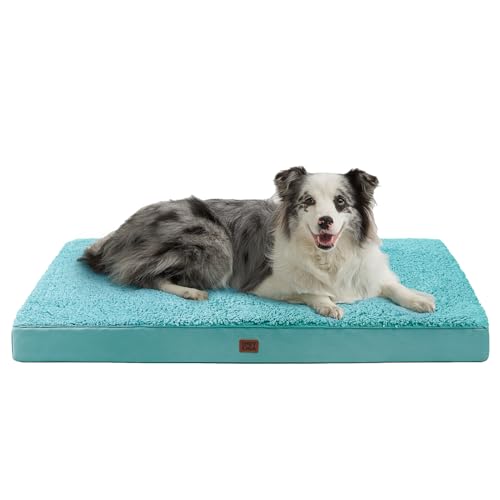 Orthopedic Dog Bed Extra Large with Removable Washable Cover (41*27*3.5 inches / Turquoise Blue)
